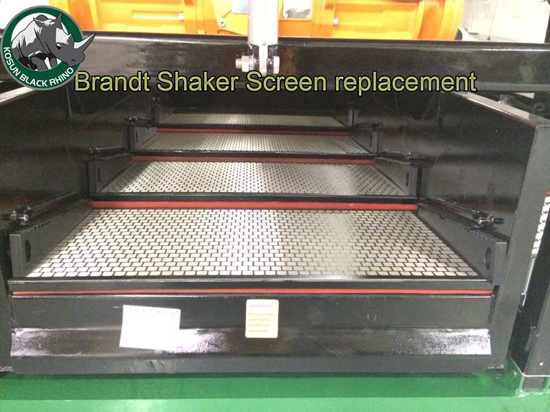 Brandt Shaker Screen